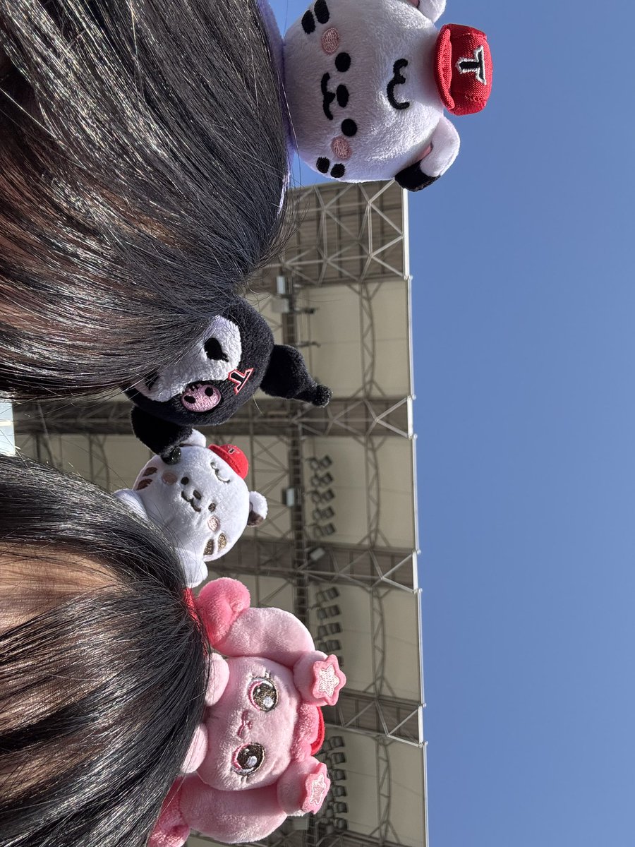 dda ˳ ˳ tweet media