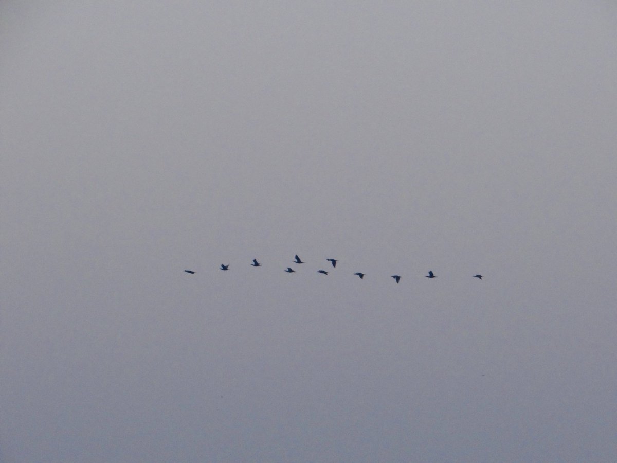 KKMtweet's tweet image. Leadership involves telling compelling stories about the future. 
#Management #Notebook #Organisation