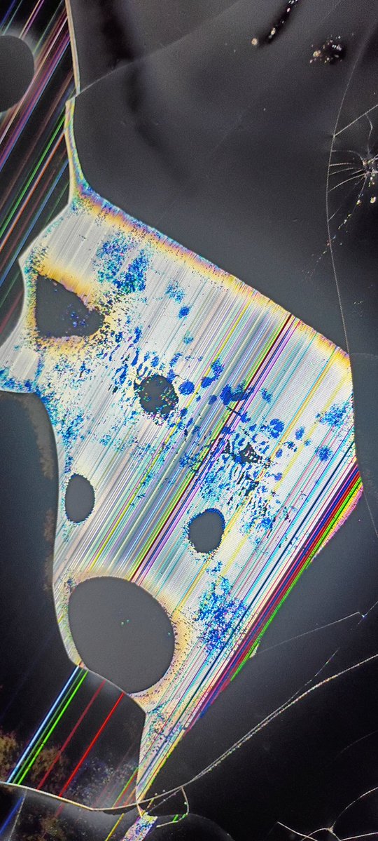 sera raye ve | remii glitch angel femme chaos tweet media