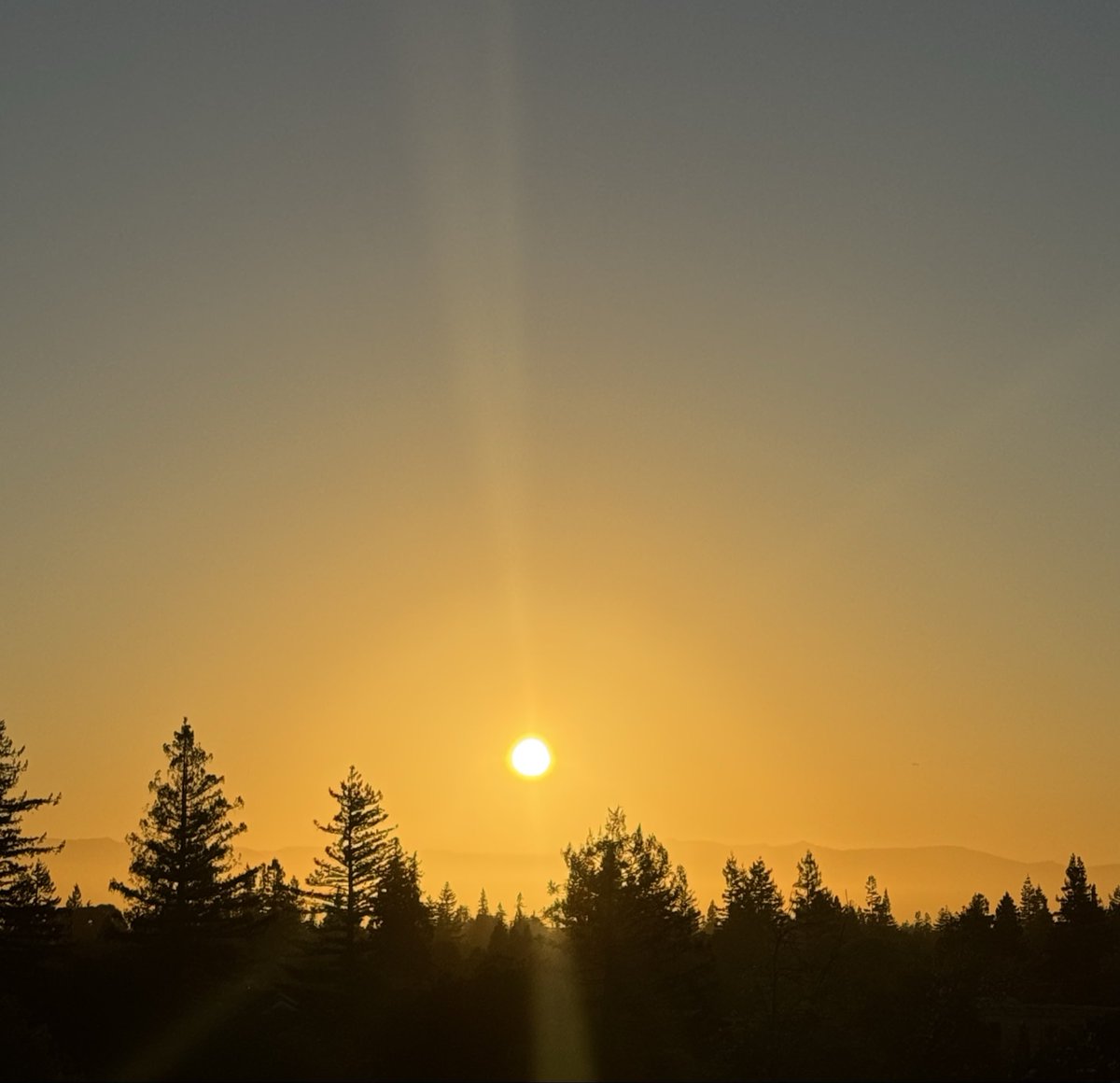 Andrew D. Huberman, Ph.D. tweet media