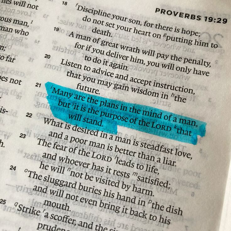 Bible 365 tweet media