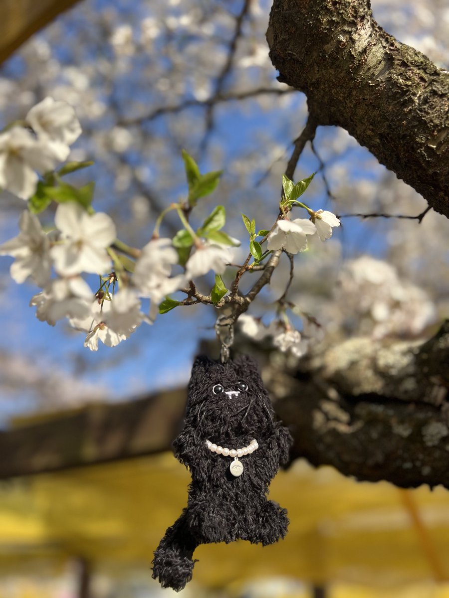 IM루나 tweet media