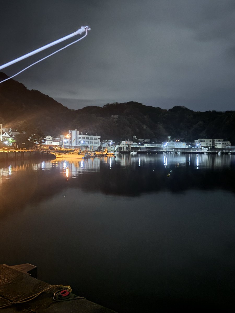 メガモクロー tweet media