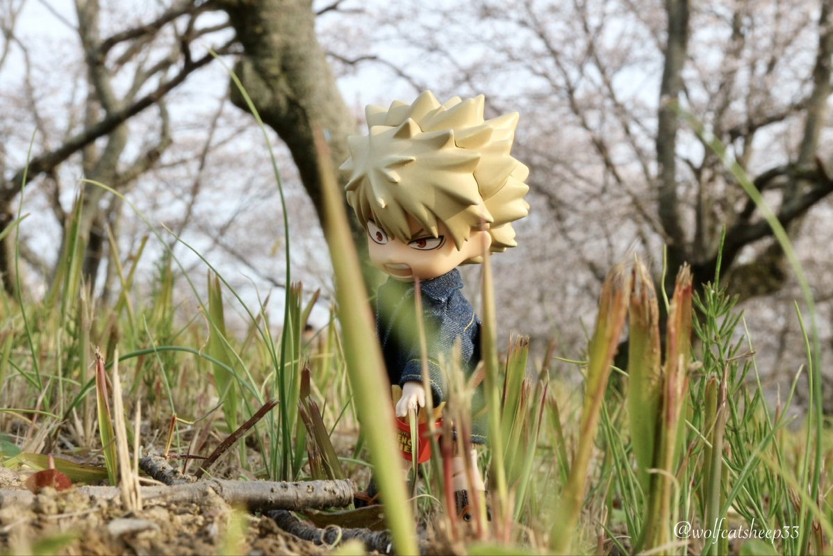 Wolfcatsheep(Sara) tweet media