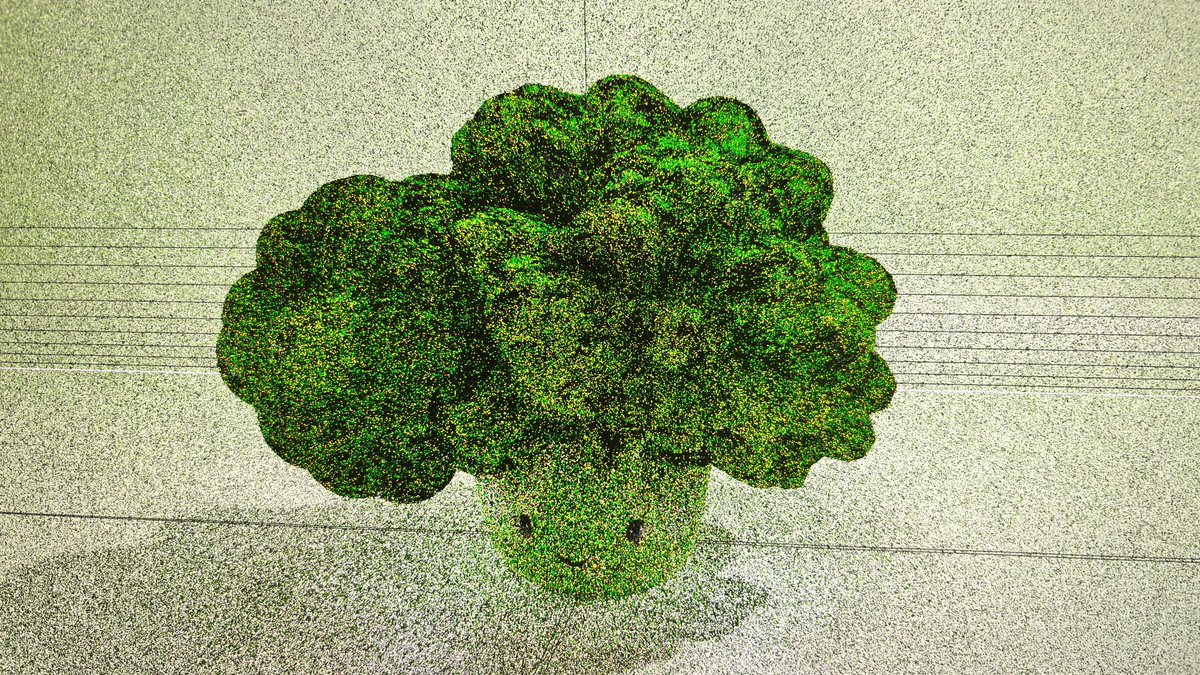 うめぼし tweet media