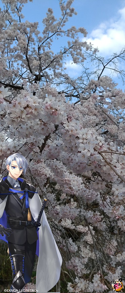 Shii✿プロカ必読✿ tweet media