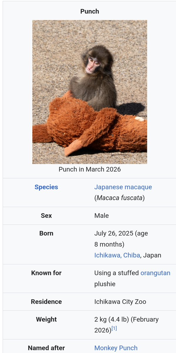 Phước Vinh Nguyễn tweet media