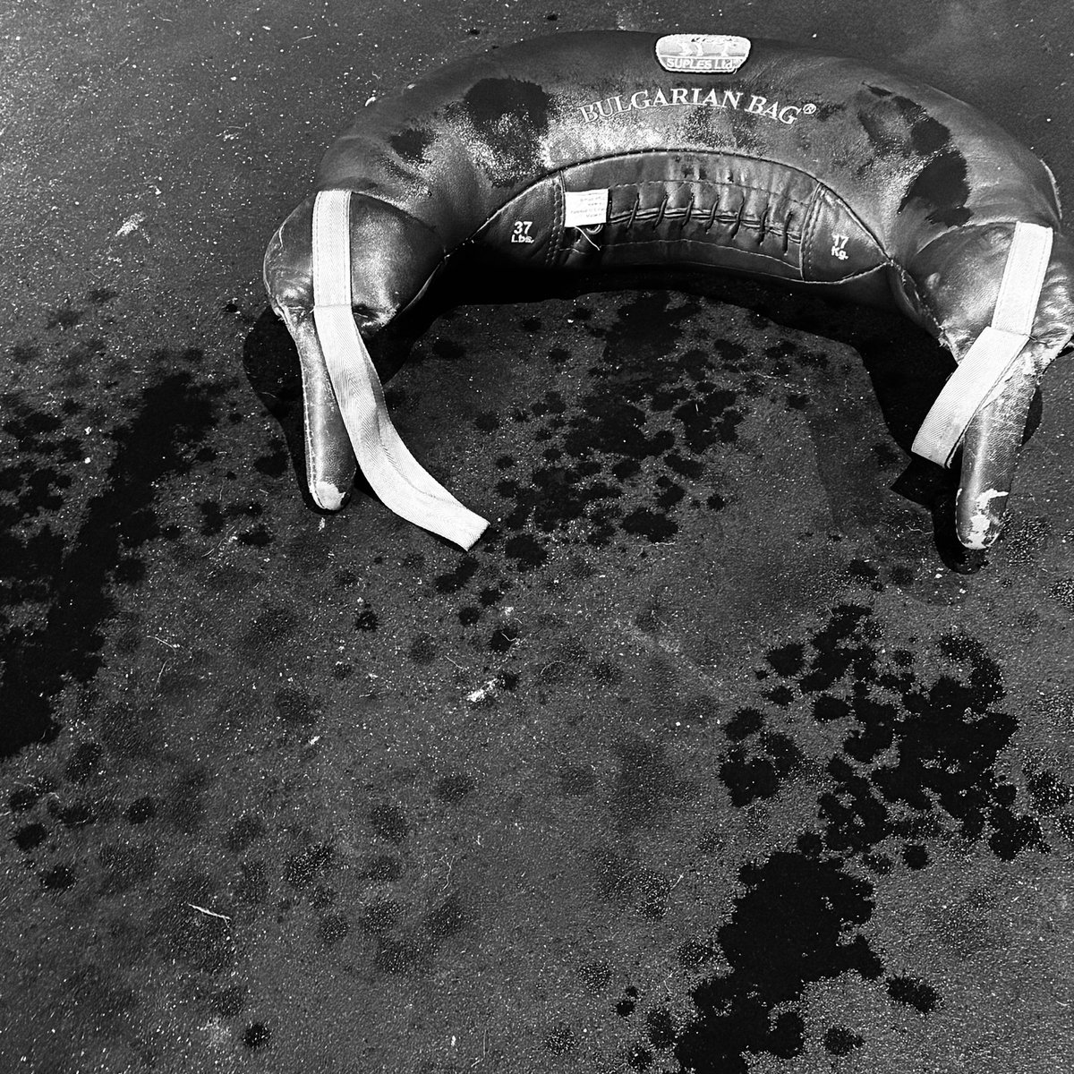 Jocko Willink tweet media