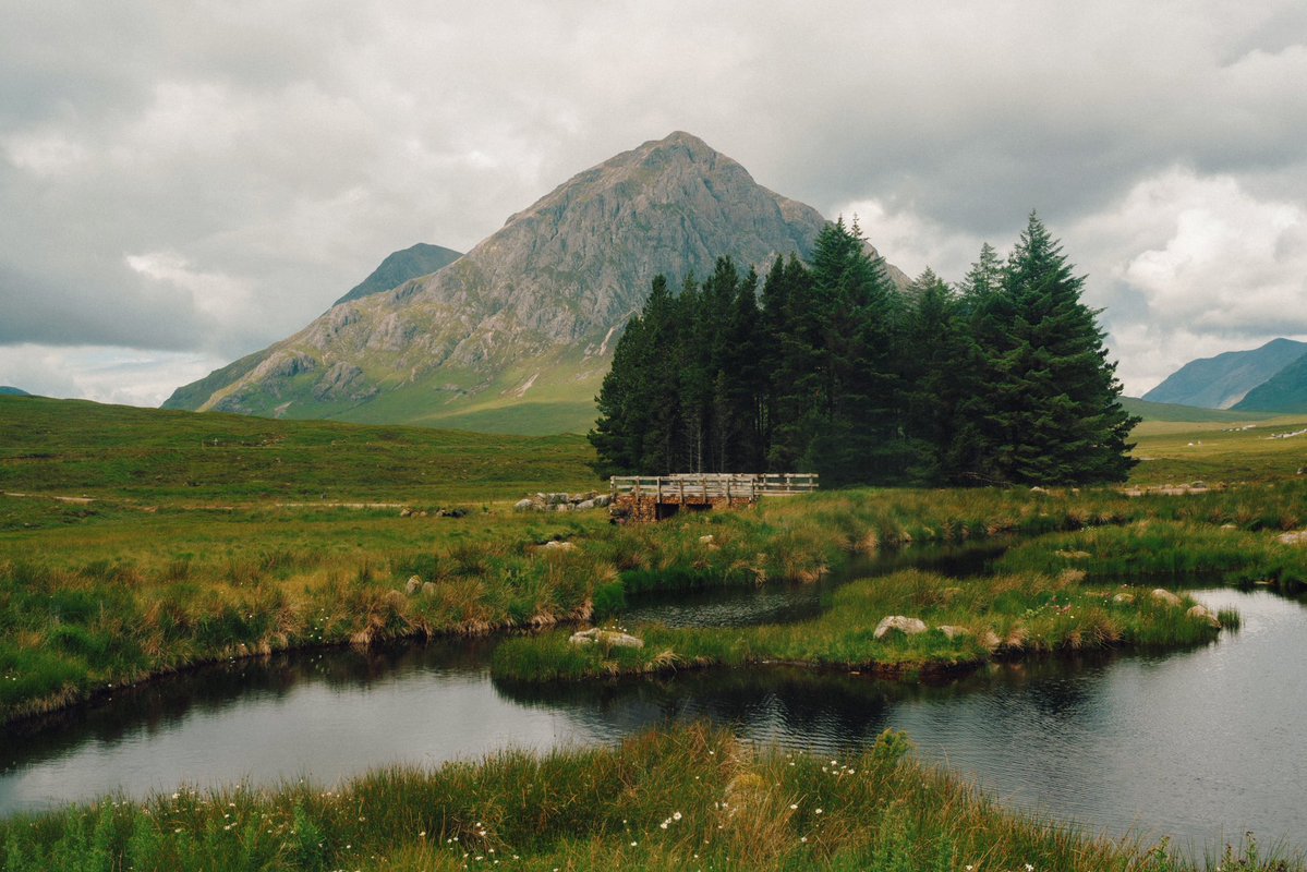 Daniel Casson tweet media