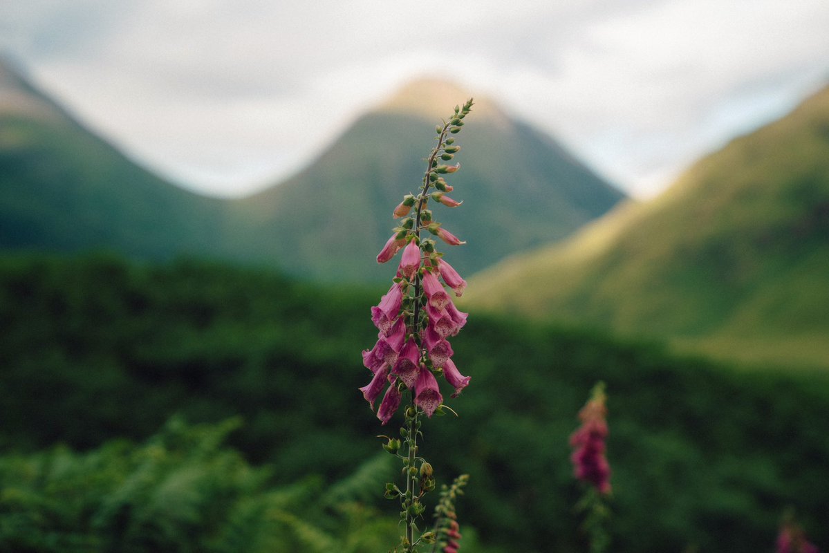 Daniel Casson tweet media