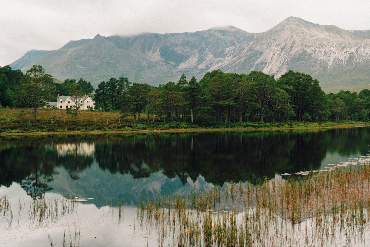 Daniel Casson tweet media