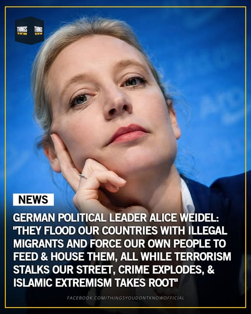 Dumpster Fire Extinguisher tweet media