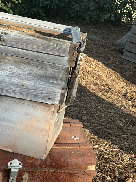 Carowinds tweet media