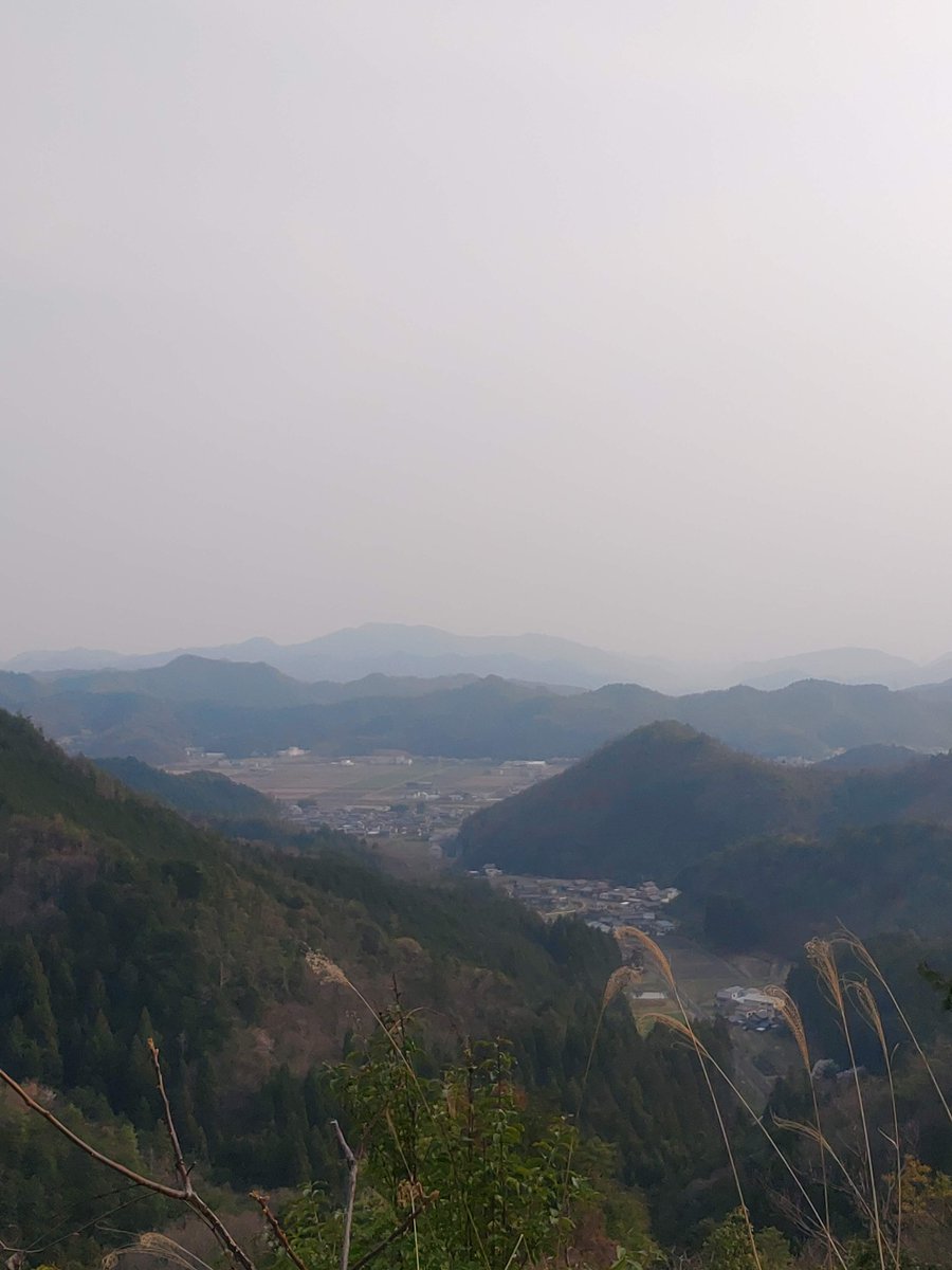 ギフNY870 tweet media