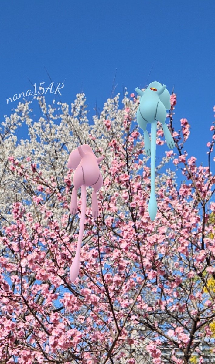 🦔nana🍒🍀🦔🍀🍒 tweet media