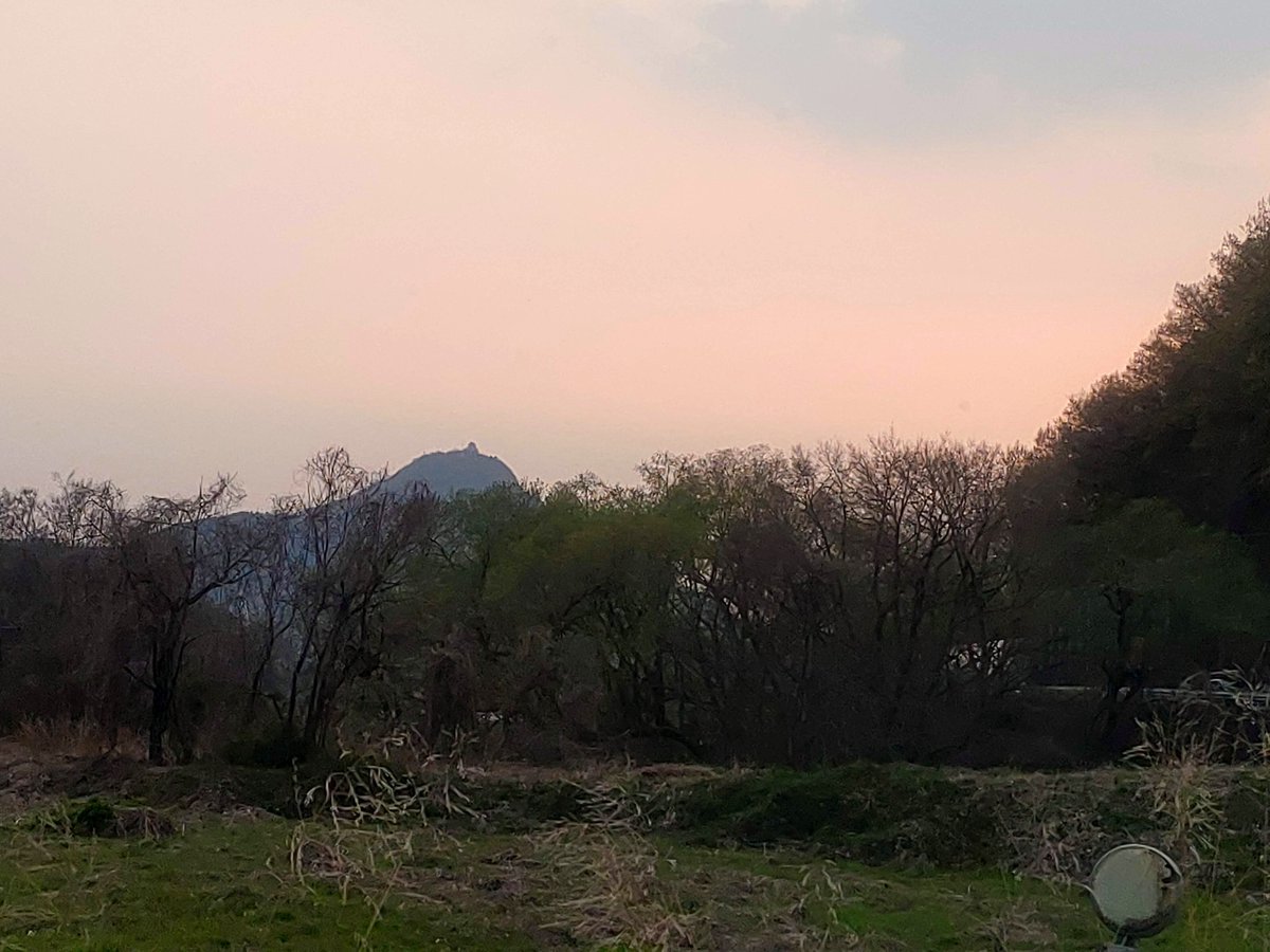 ギフNY870 tweet media