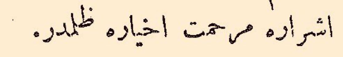 Kara Kedy tweet media