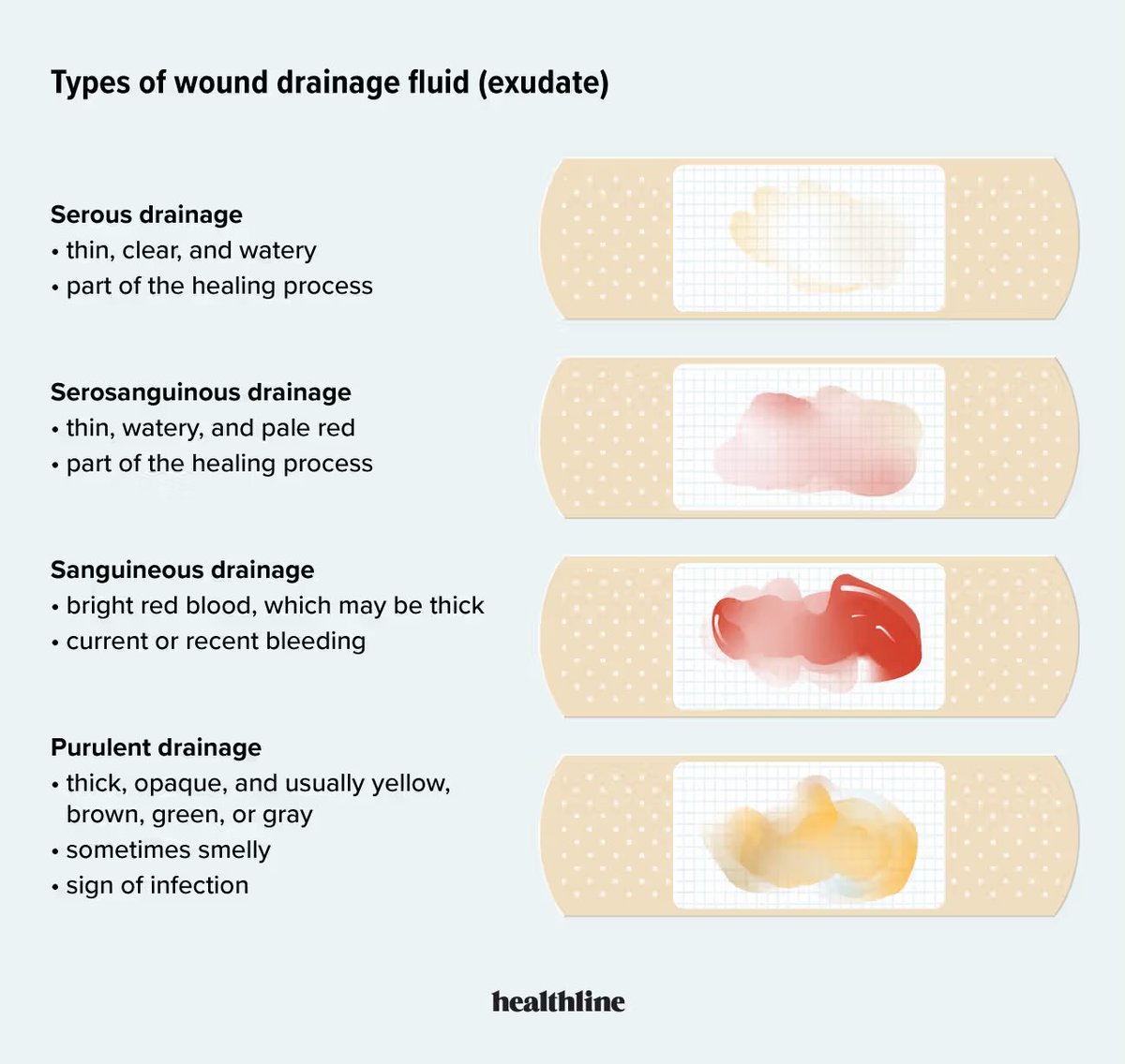 °•Evil Renny•°|Will Byers| tweet media