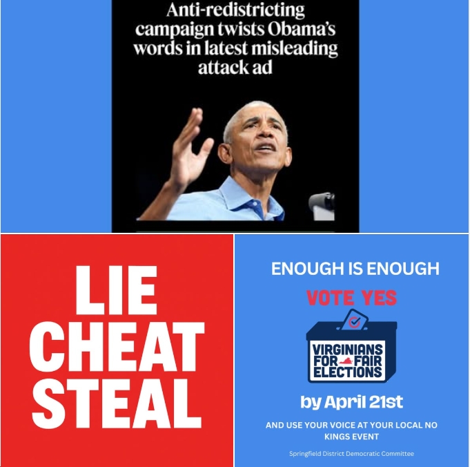 Blue Virginia tweet media