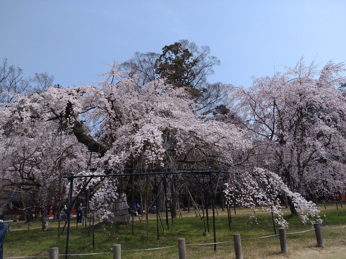 しゅしゅ tweet media