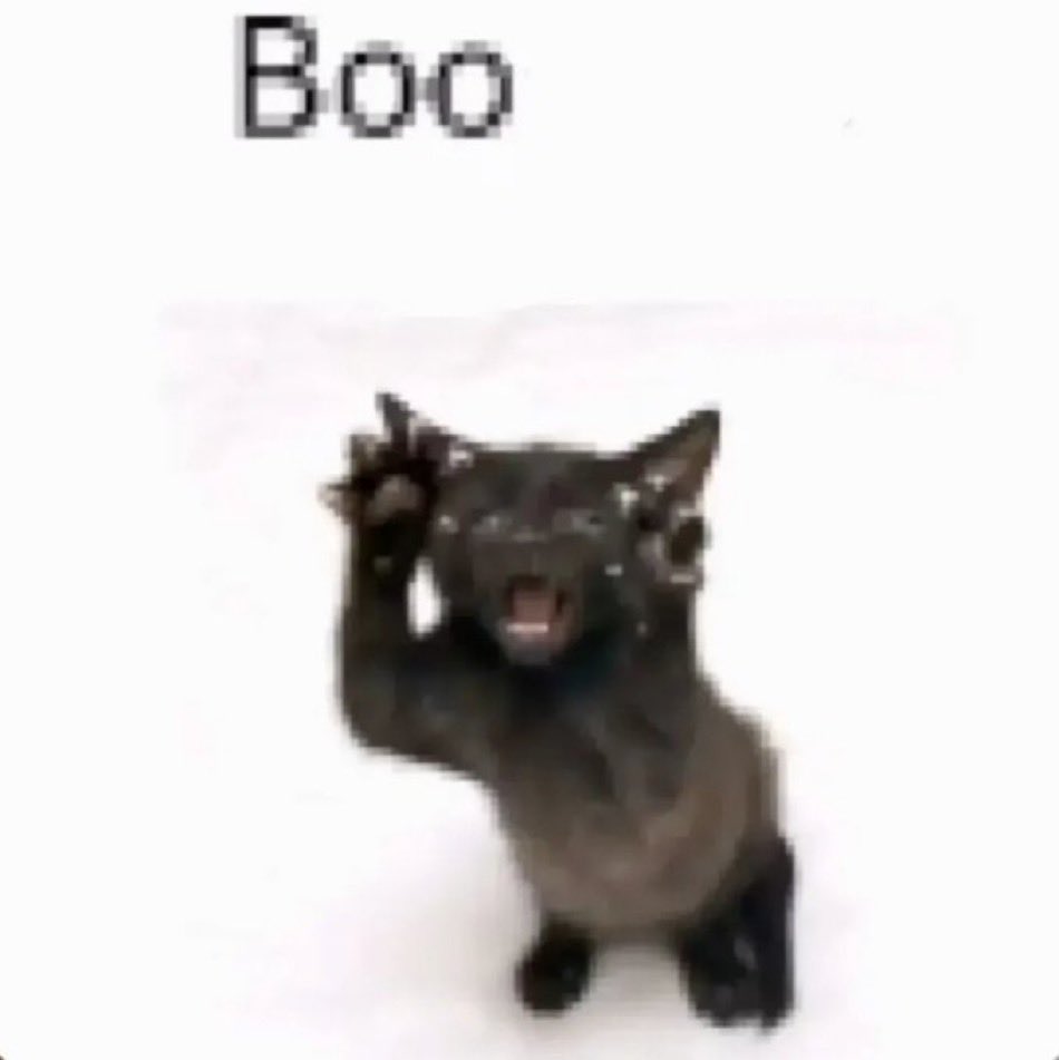 botched babe 🇵🇸 tweet media