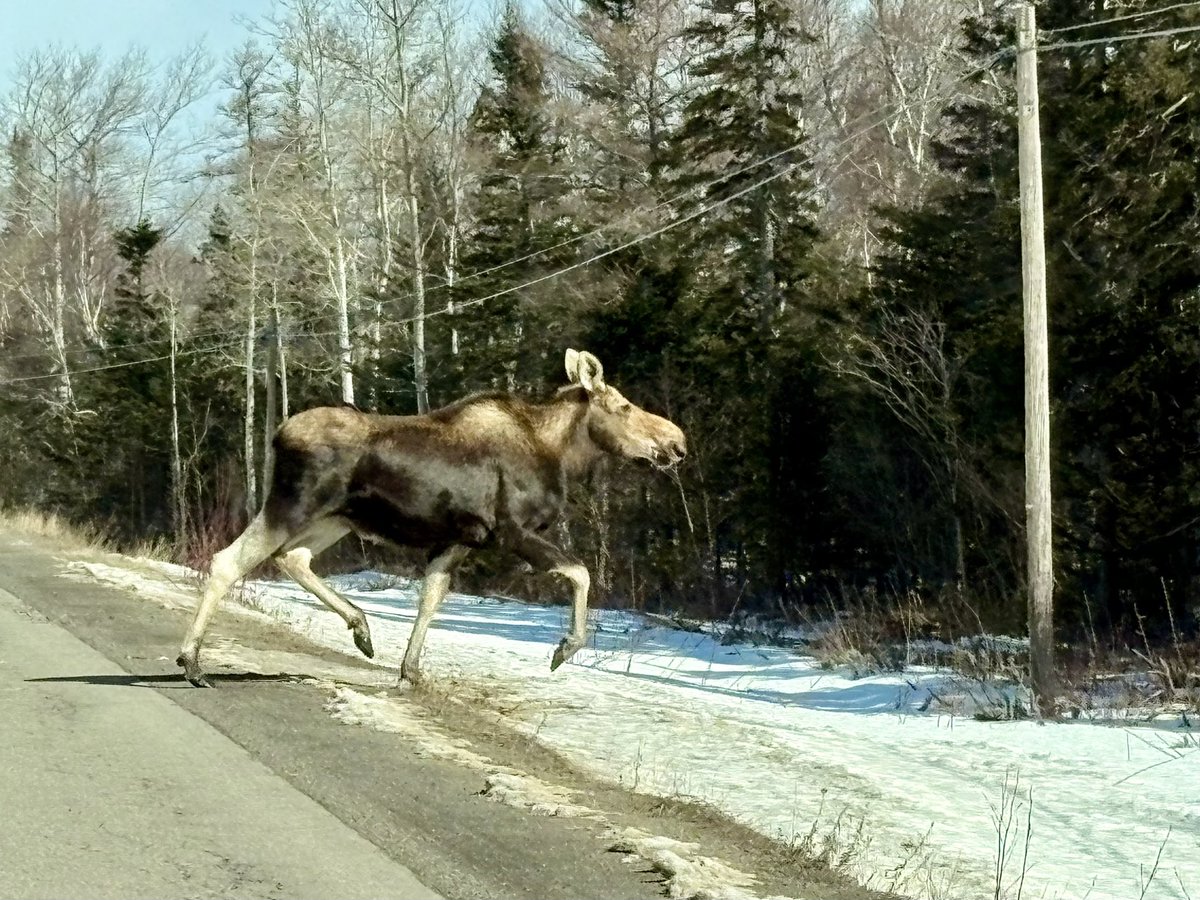 Peter 🫐 tweet media