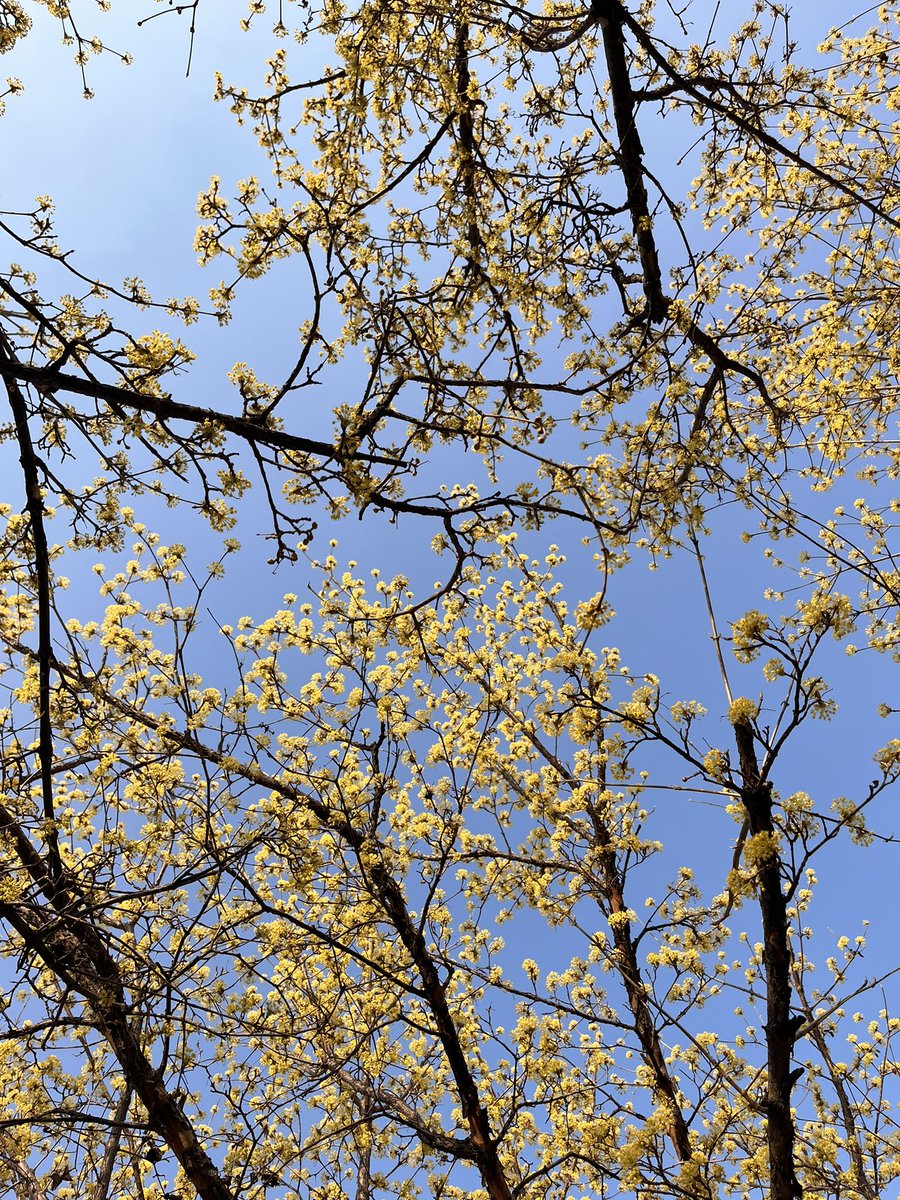 둥실부부 tweet media