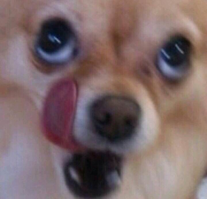 용가리다 tweet media