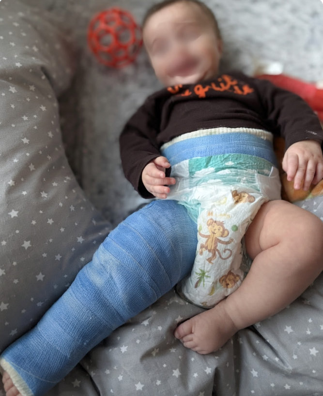 Wolf 🐺 tweet media