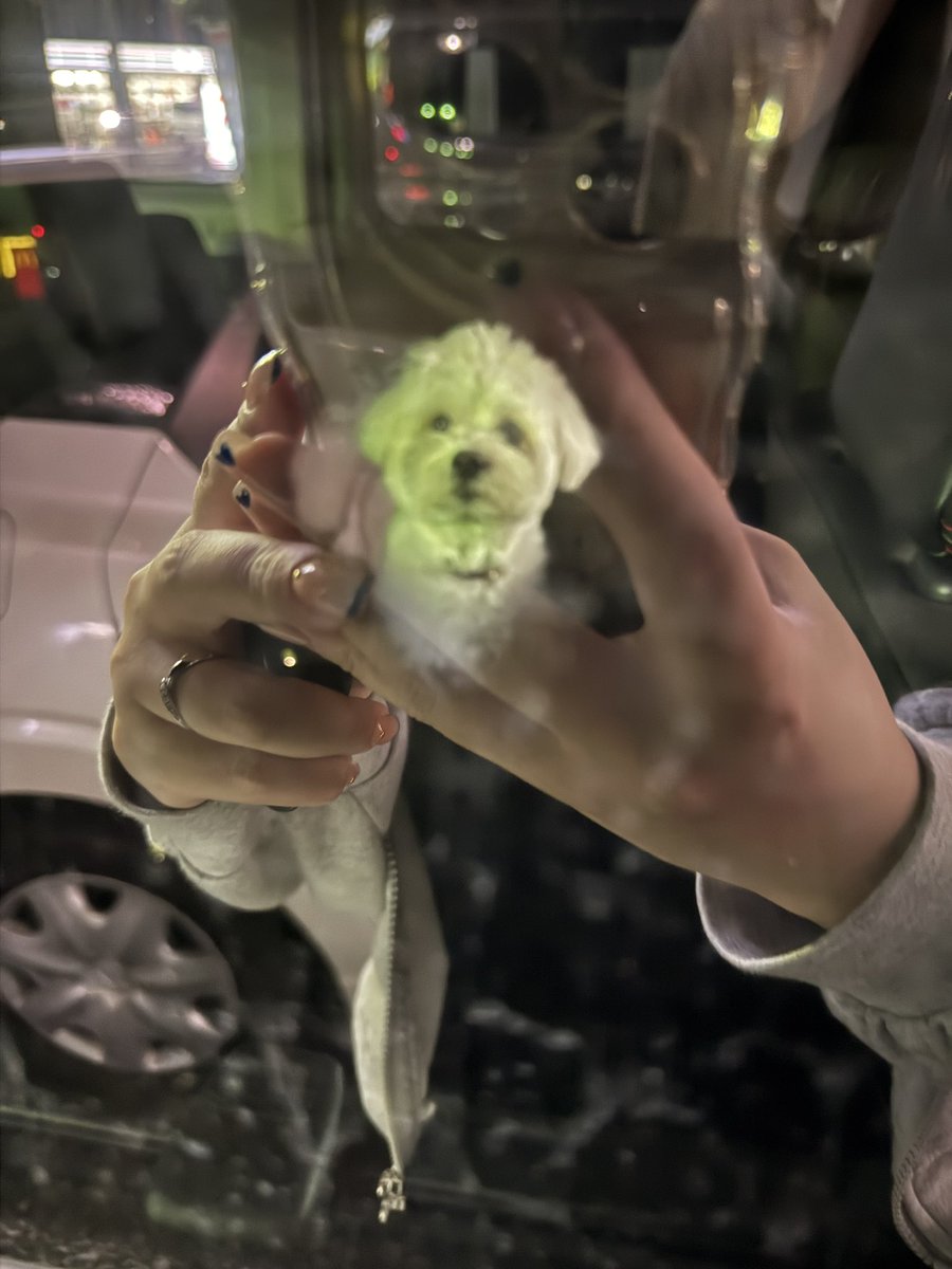 きなり tweet media