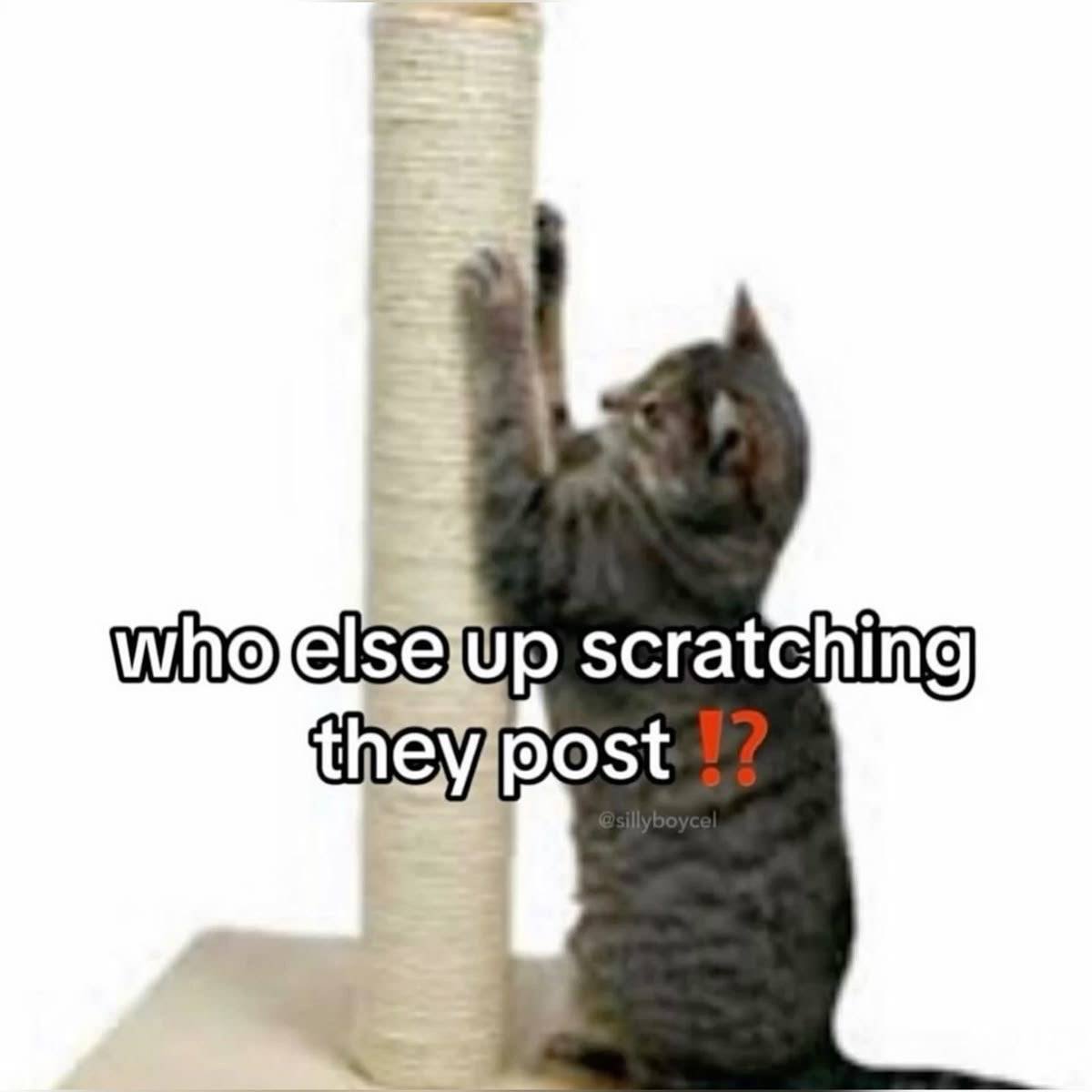 ella🌸 tweet media