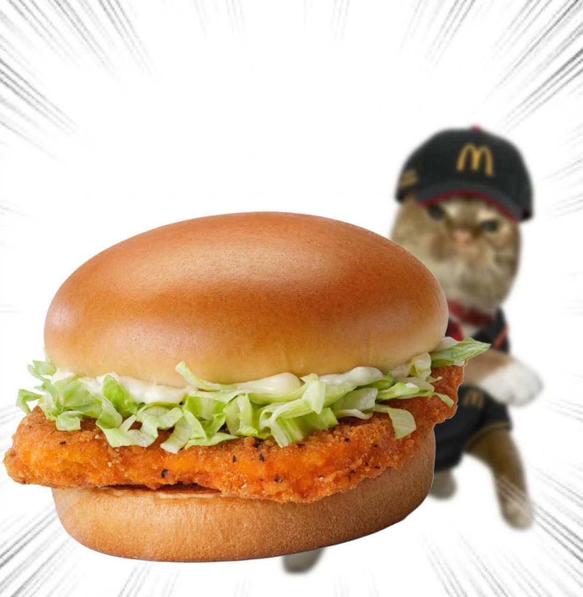 Throwing Things Daily tweet media