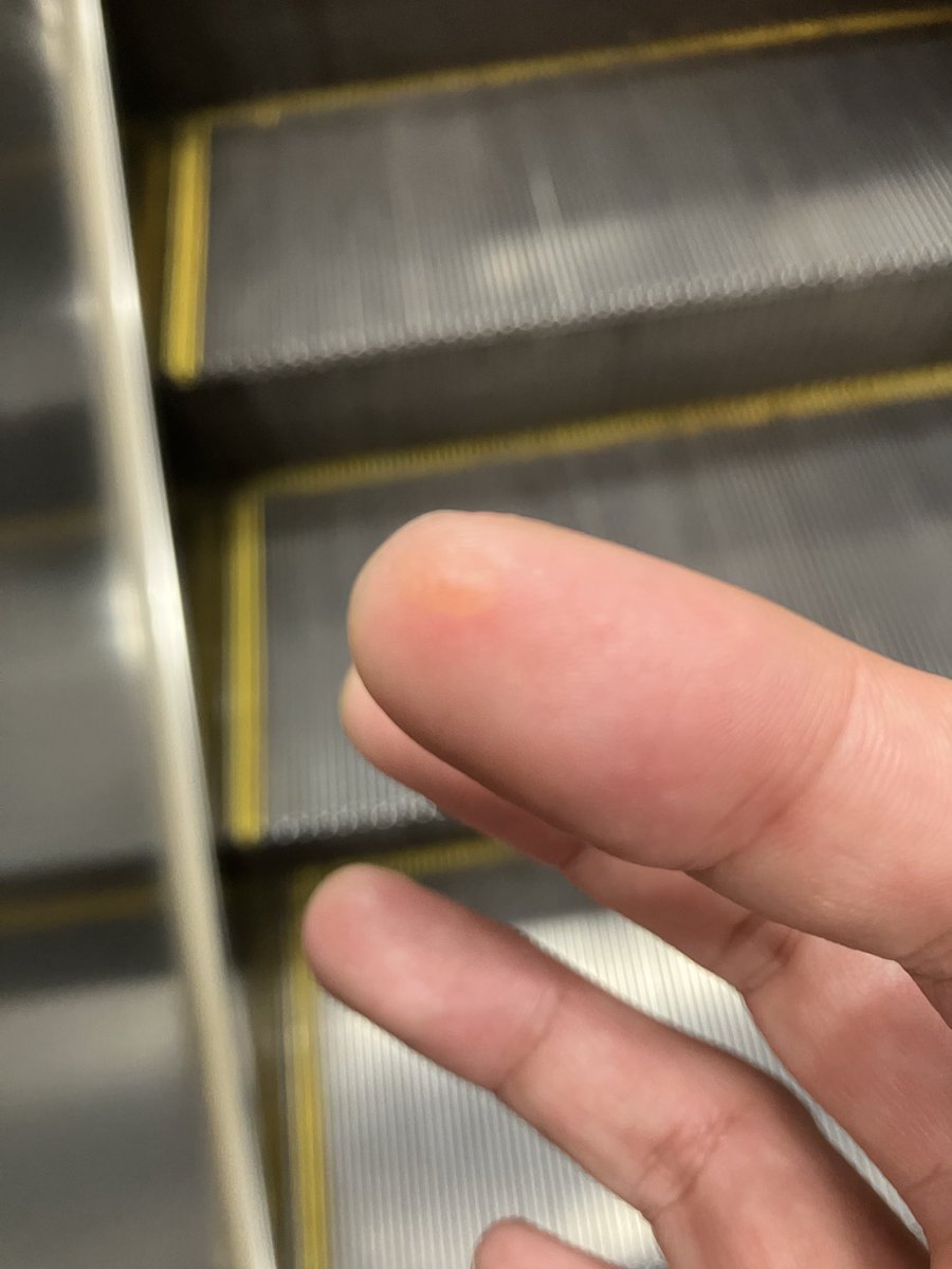 赤坂零式@ 天王洲アイル(仮)、赤坂負債 tweet media