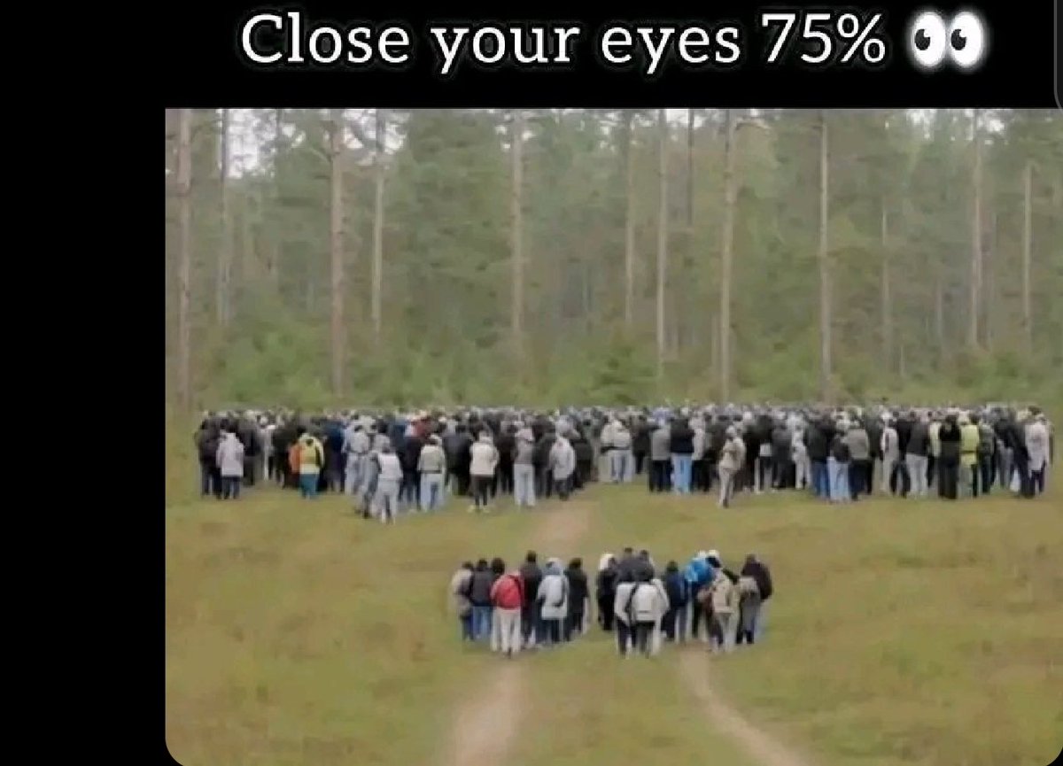 AFiA ÐiMPŁË tweet media