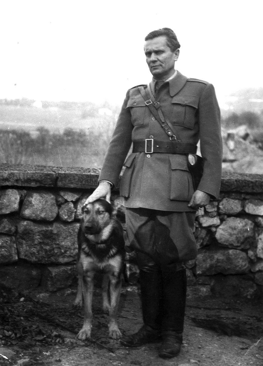 Yugoslavian Visuals tweet media