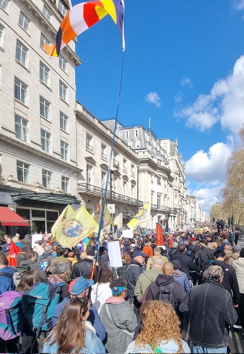 Zac Connolly tweet media