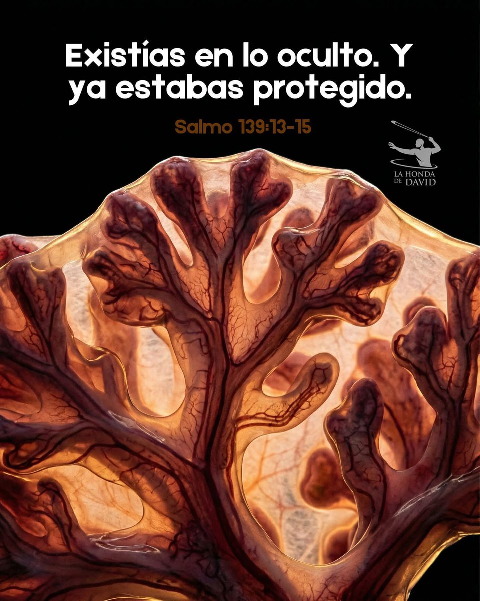 My name is M. Only M tweet media