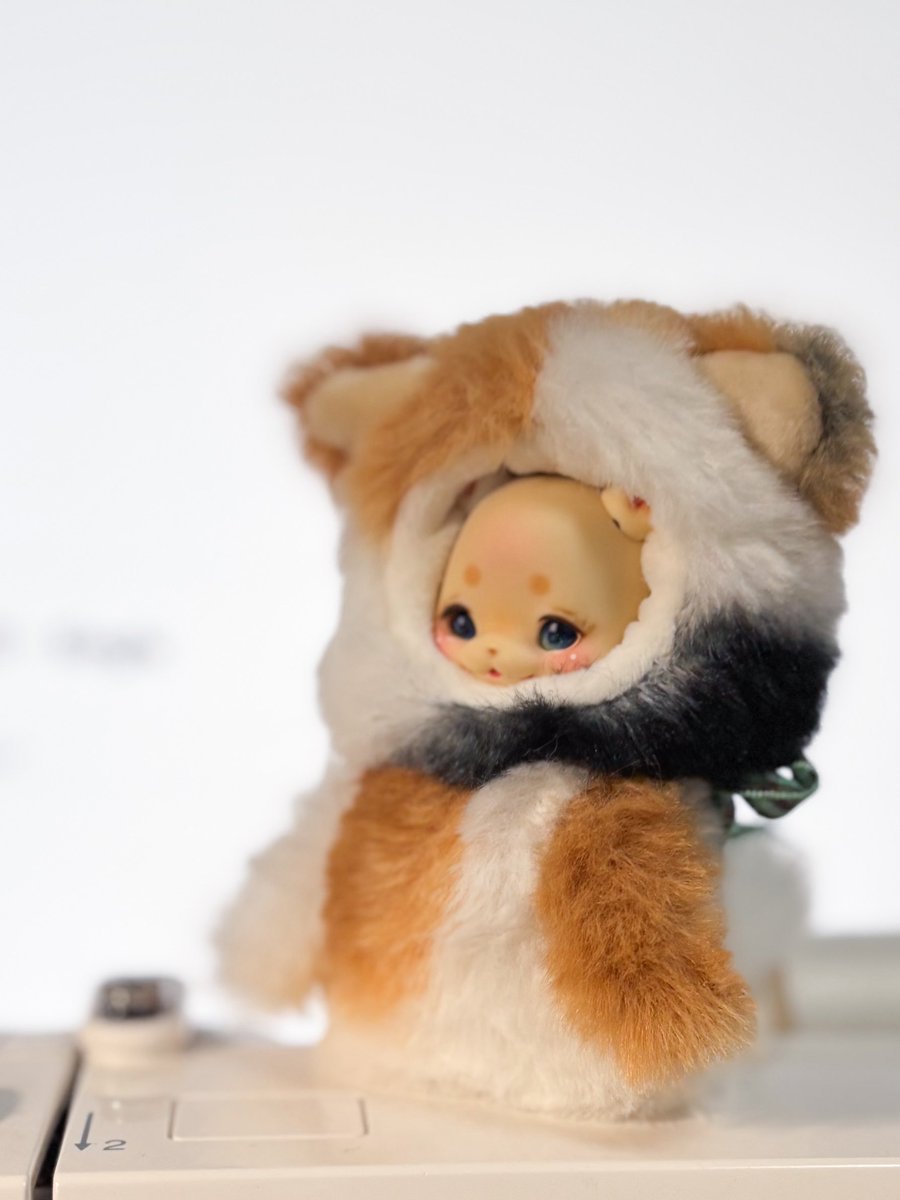 わに☆ tweet media