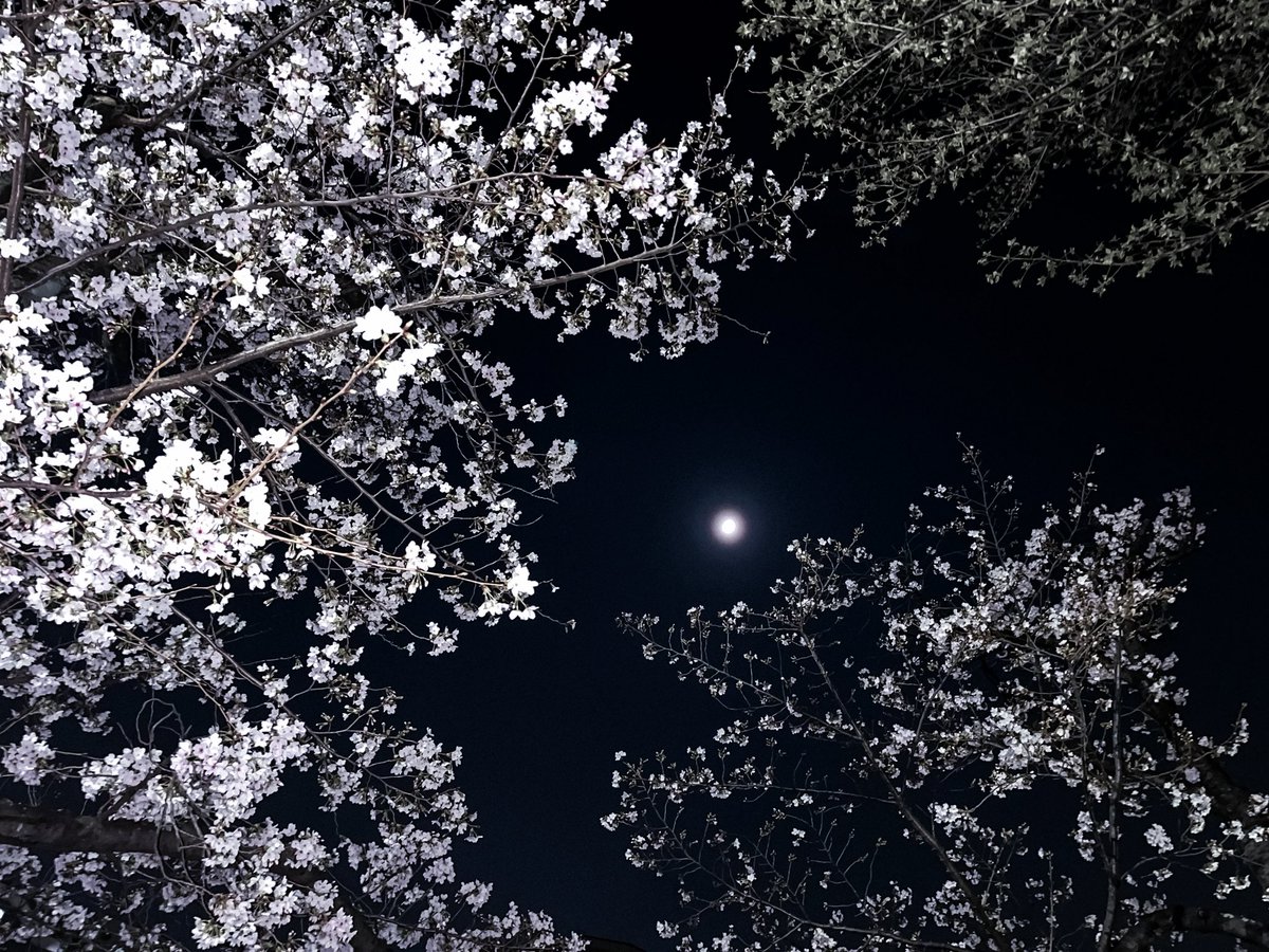 SAK. 🎙️ tweet media