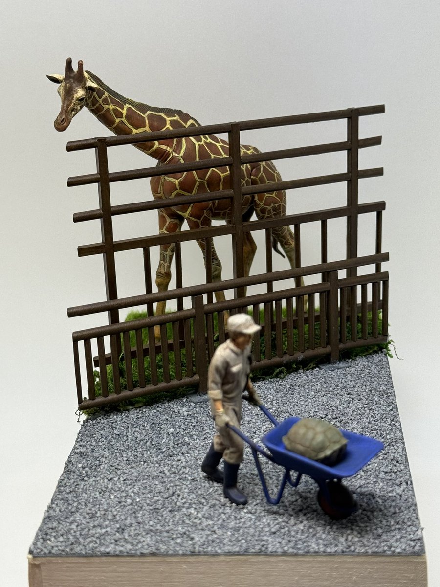 ごま半月 tweet media