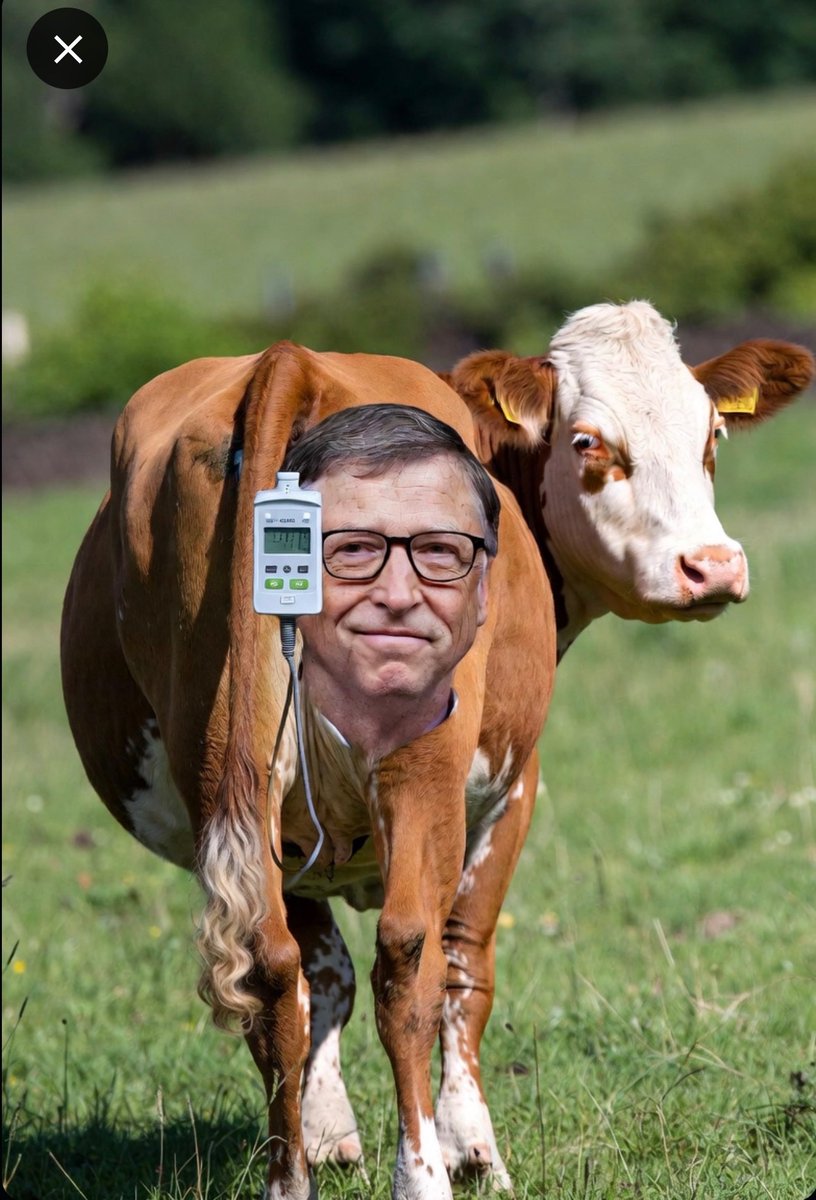 Silverdagger2025 tweet media