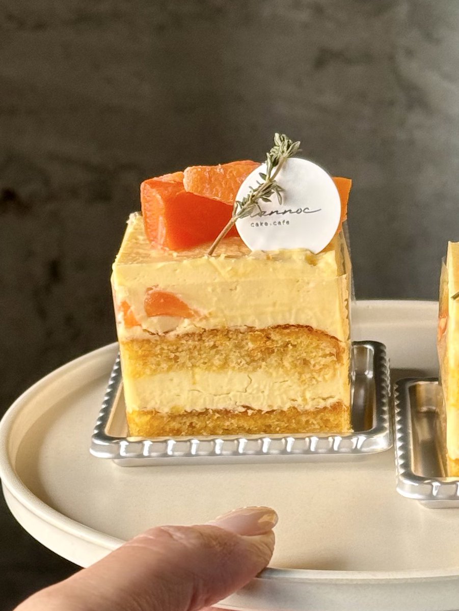 中崎町のhannocから出てる春人参のバタークリームケーキ。
バタクリlover的に神でしかないの
キャロットケーキも併せて食べたい気分でした