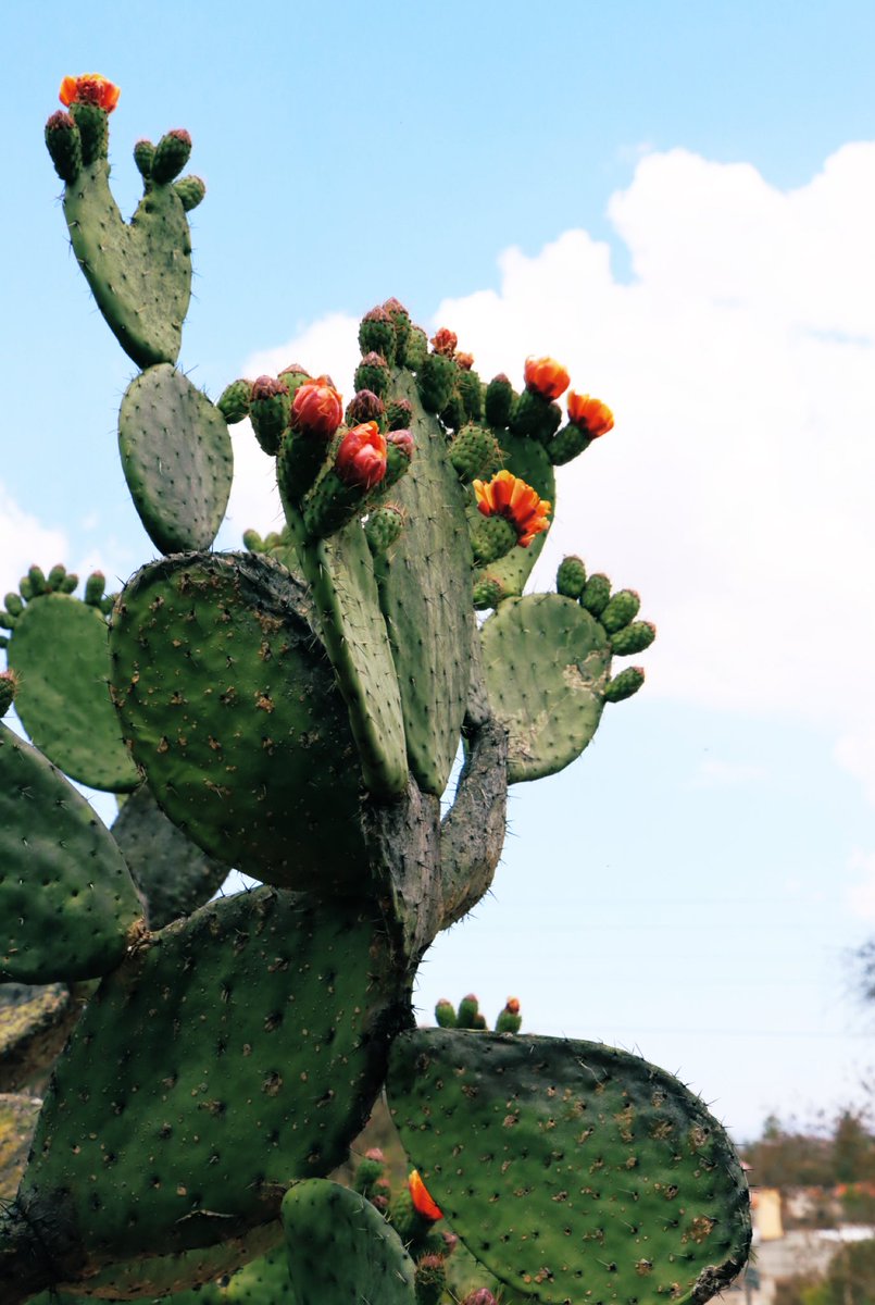 Eduardo González tweet media
