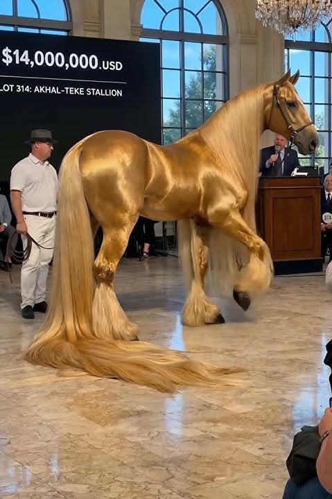 Vibe sphere tweet media