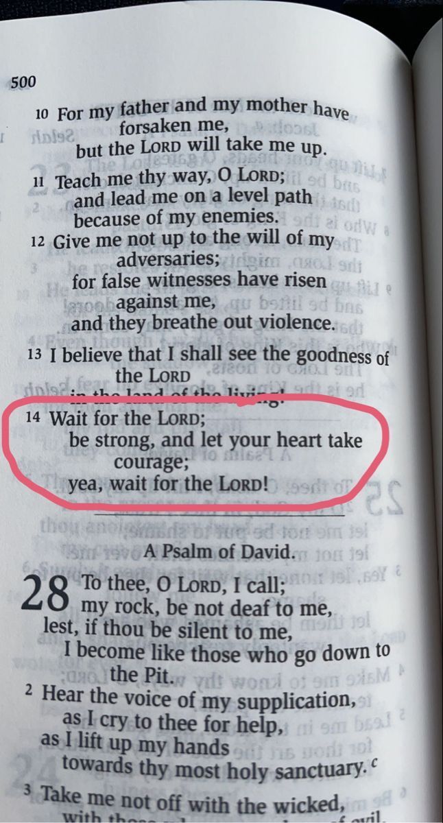 Bible 365 tweet media