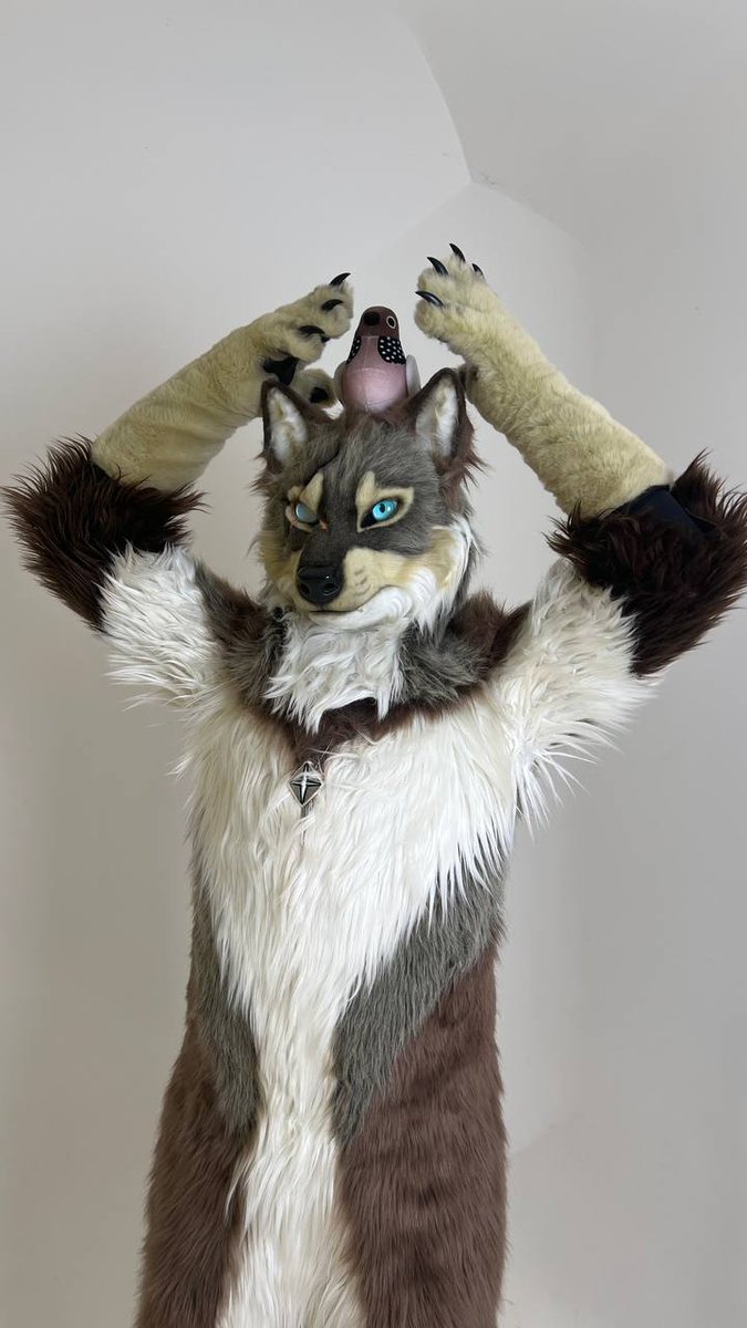 贊德 Xander tweet media