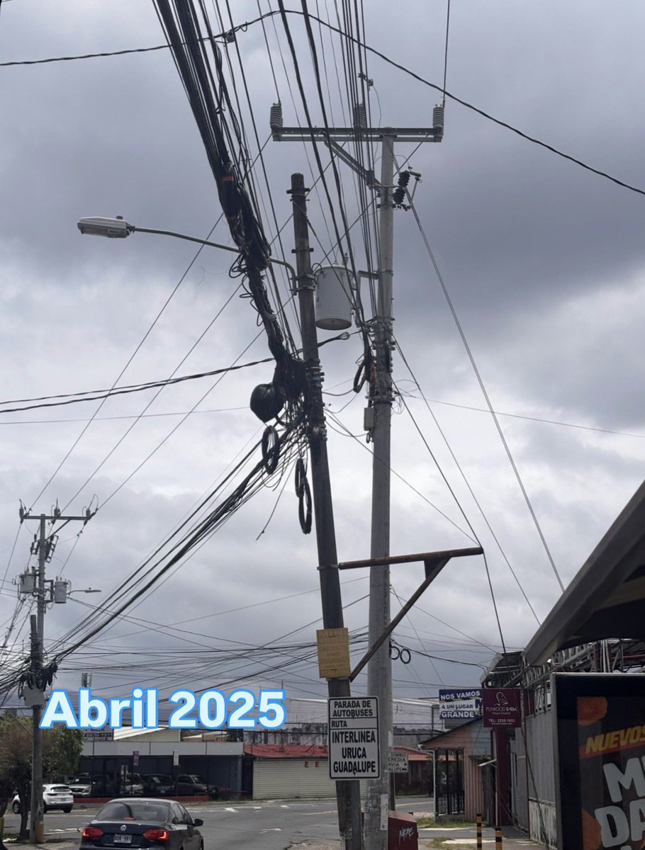 Federico Villalobos Carballo tweet media