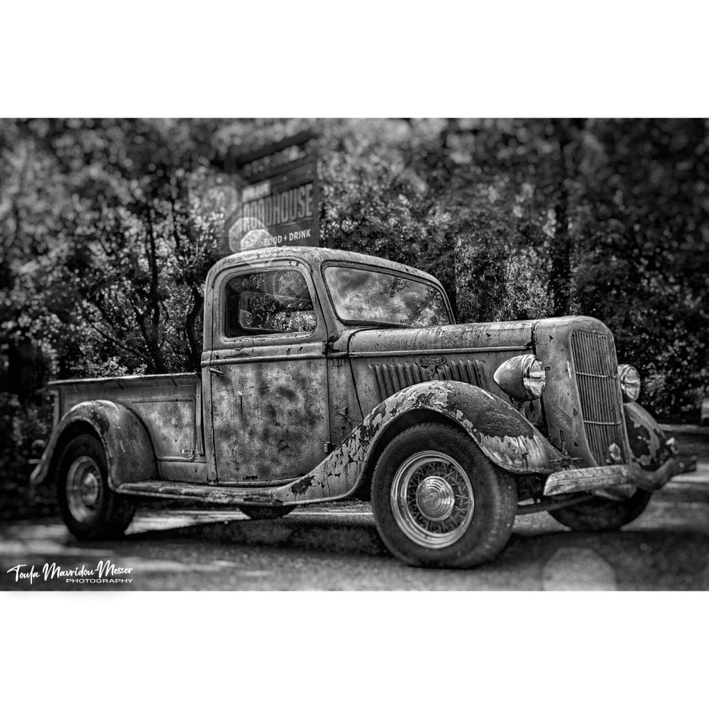 Toula Grayce Mavridou-Author & Photographer-No DMs tweet media