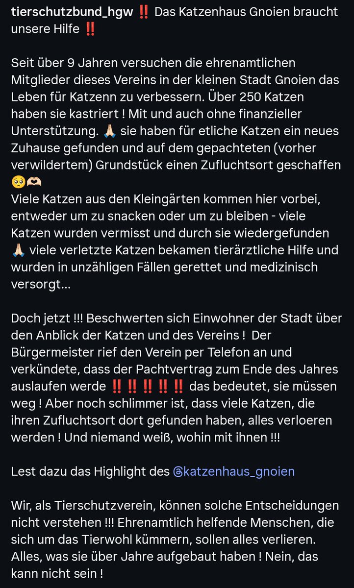 Bürgerfrau 🇩🇪💙✌🏻📚🤍🕯️ tweet media