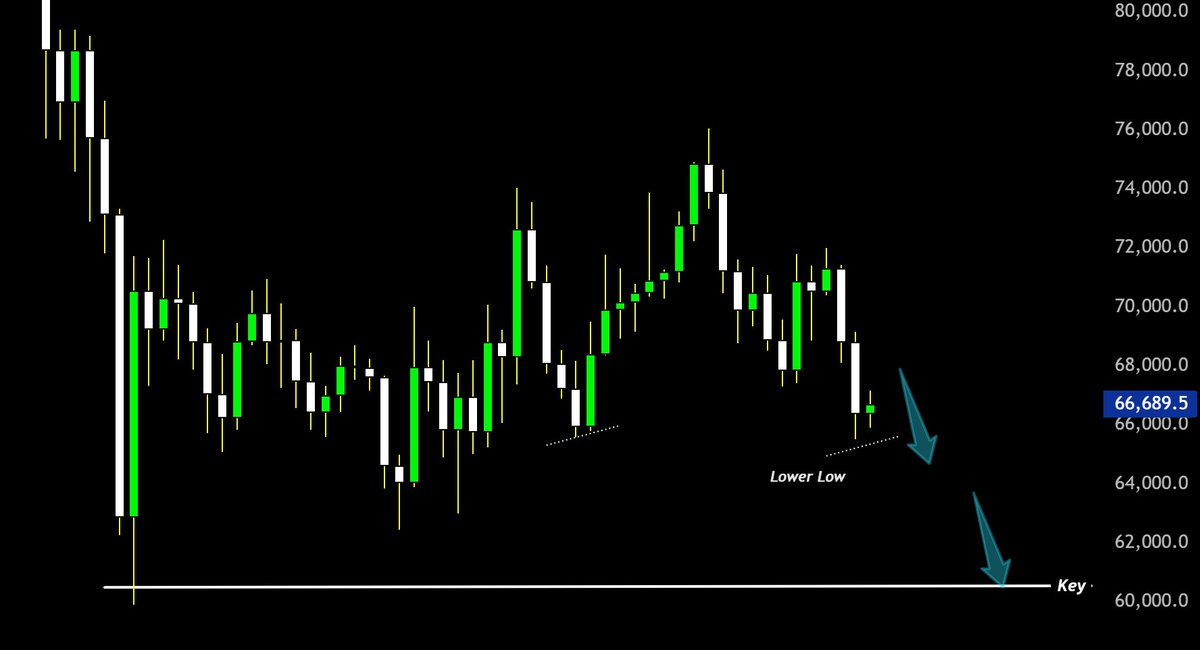 ProfitHusky tweet media